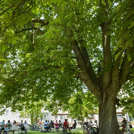 Wolfringmuehle Fensterbach