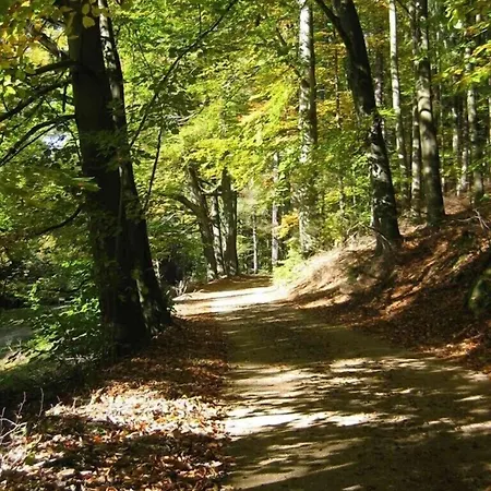 Wolfringmuehle